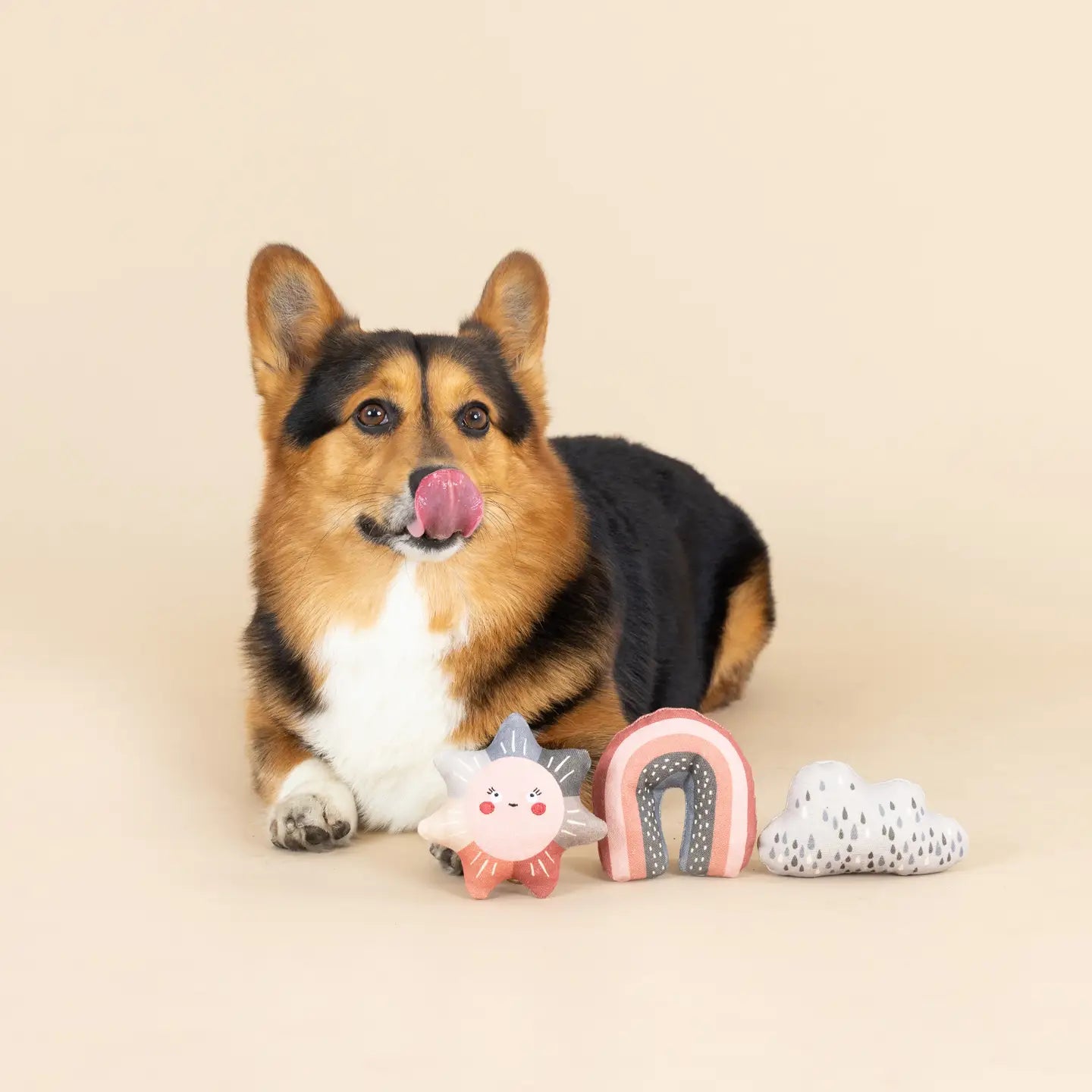 Rain or Shine Canvas Mini Dog Toy