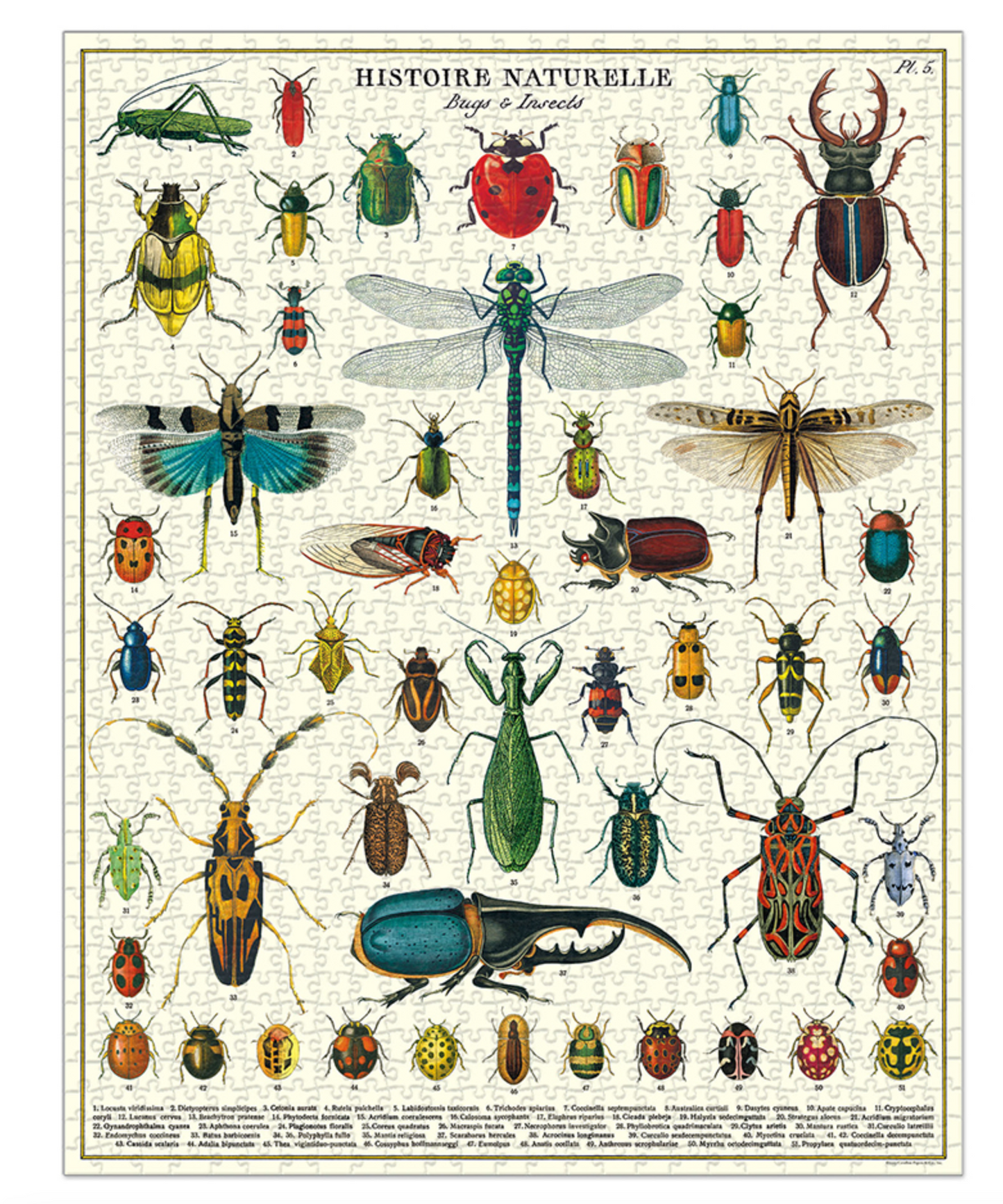 Vintage 1,000 Piece Puzzles