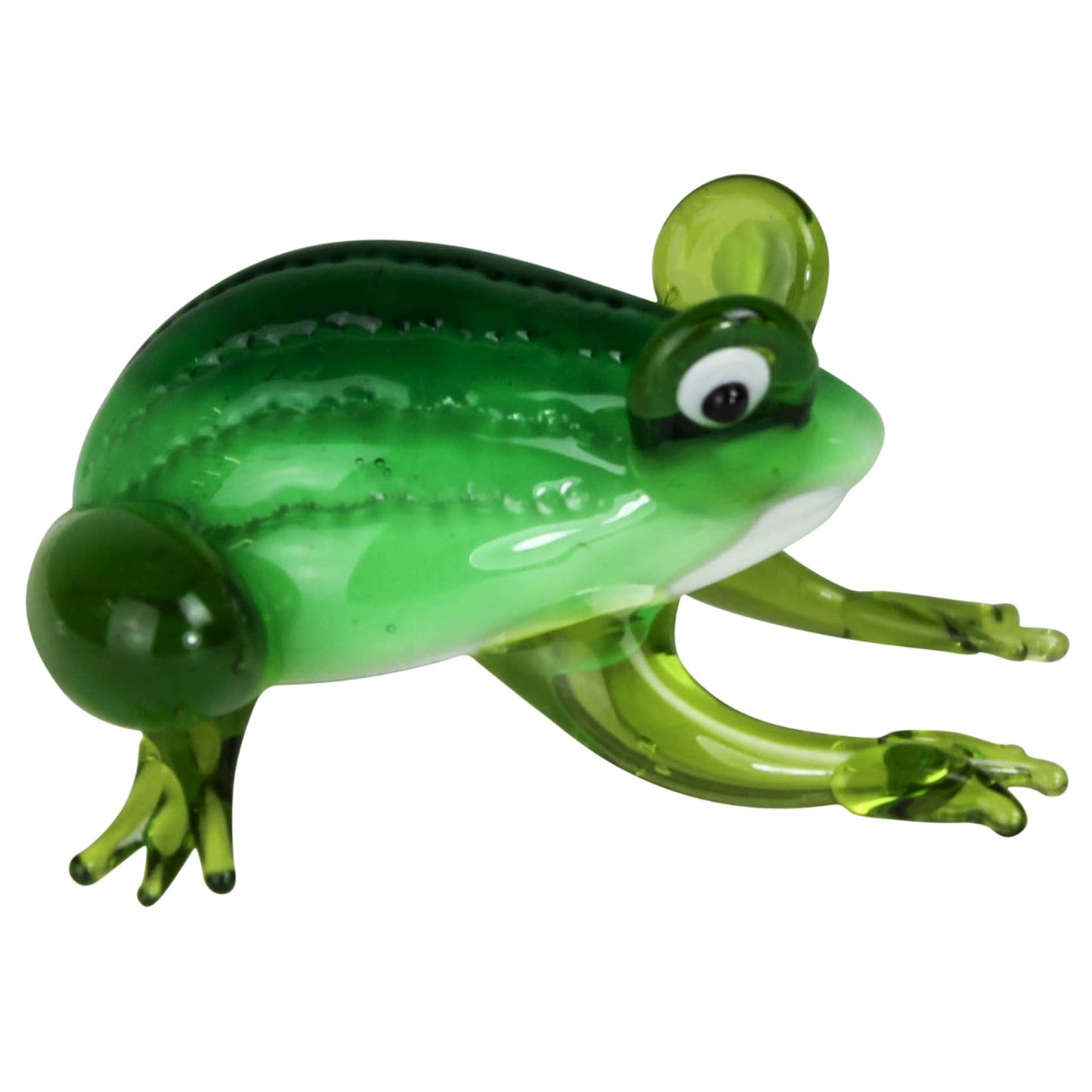 Glass Frog