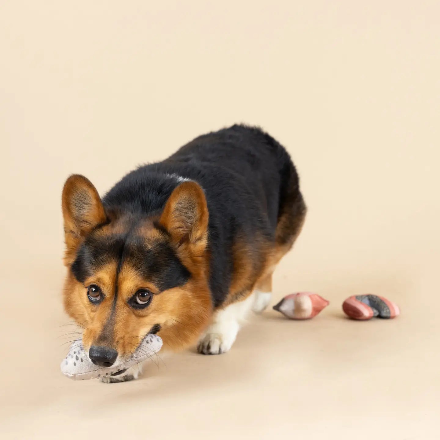 Rain or Shine Canvas Mini Dog Toy