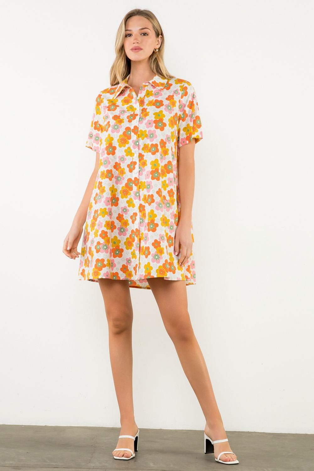 Silvy Button Down Swing Dress