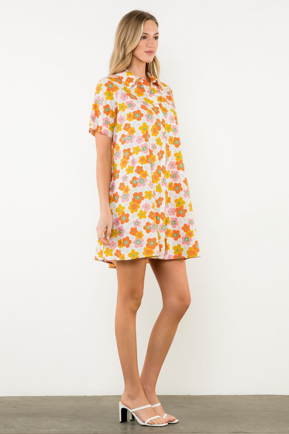Silvy Button Down Swing Dress