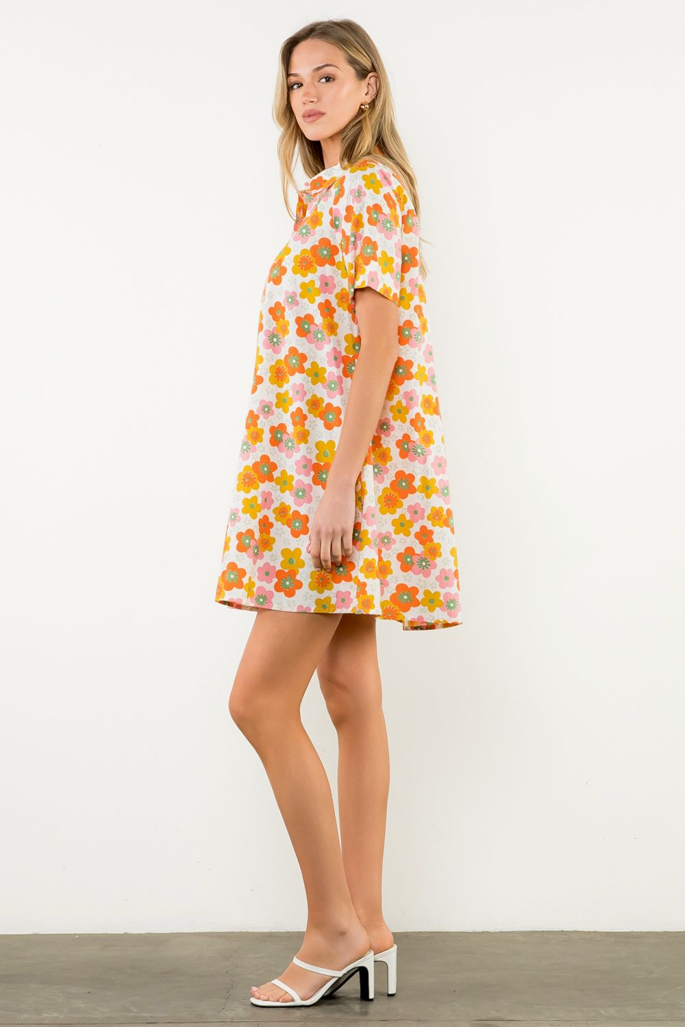 Silvy Button Down Swing Dress