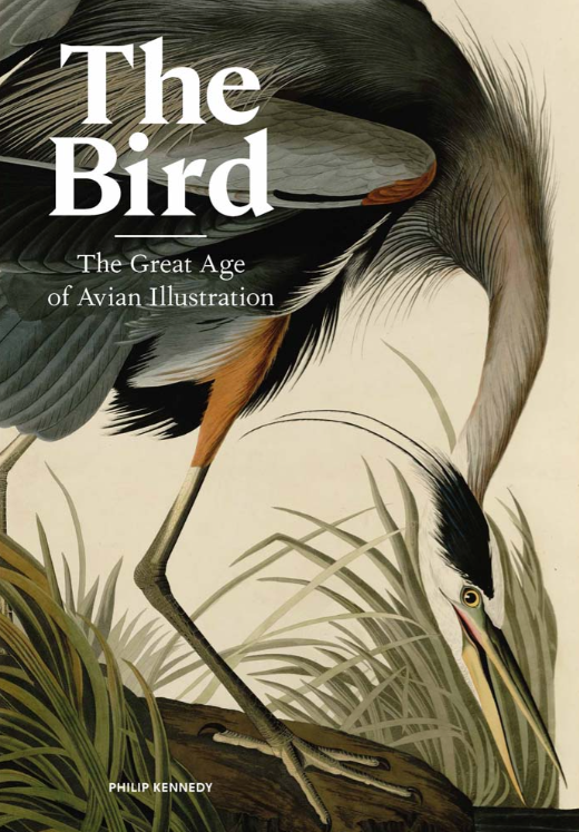 The Bird: The Great Age of Avian Illustration