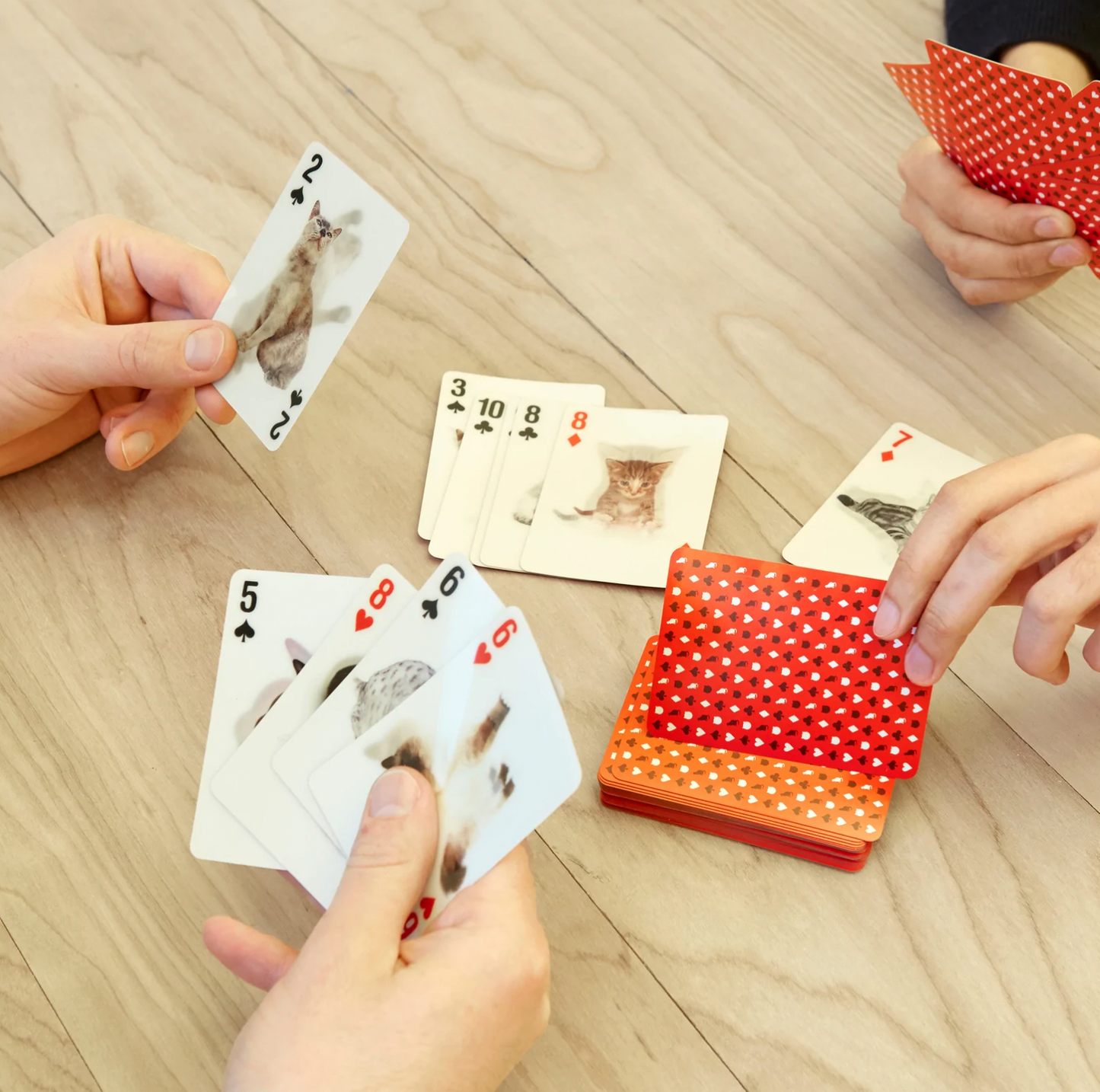 3D Animal Playing Cards